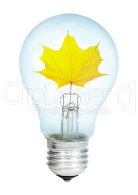 Electrobulb with maple  leaf