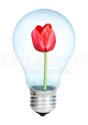 Electrobulb with a bunch of tulips