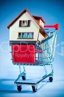 shopping cart and house