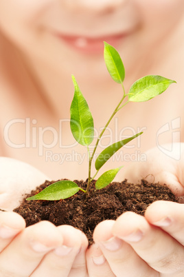 The boy observes cultivation of a young plant.