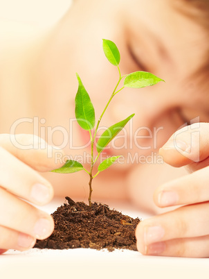 The sleeping boy near a growing plant.