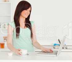 Attractive red-haired female relaxing with her laptop in the kit