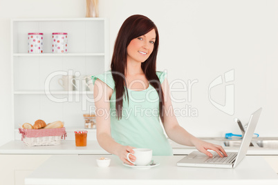 Good looking red-haired female relaxing with her laptop in the k