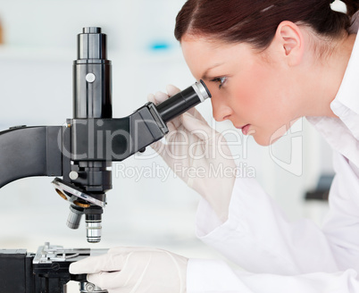 Attractive red-haired scientist looking through a microscope