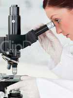 Good looking red-haired scientist looking through a microscope