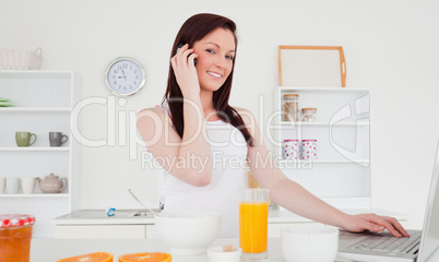 Good looking red-haired female relaxing with her laptop in the k