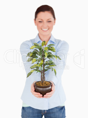 Beautiful red-haired female holding a houseplant while standing