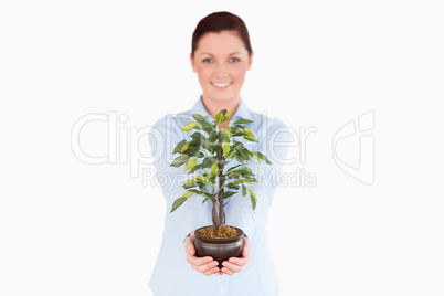 Attractive red-haired woman holding a houseplant while standing