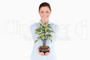 Attractive red-haired woman holding a houseplant while standing