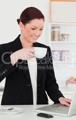 Gorgeous red-haired woman in suit relaxing with her laptop while