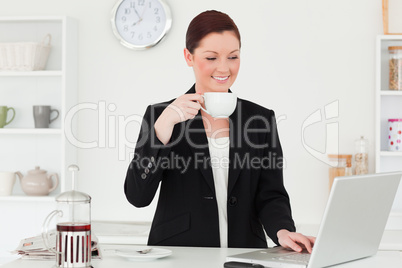 Good looking red-haired woman in suit relaxing with her laptop i