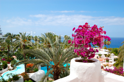View on the beach of luxury hotel decorated with flowers, Teneri