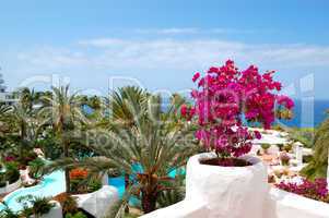 View on the beach of luxury hotel decorated with flowers, Teneri