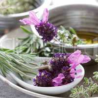 Kräuter Stillleben - Herbs Still Life