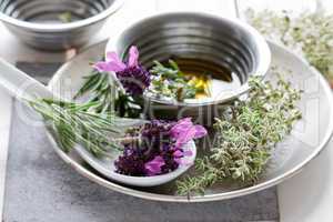 Kräuter Stillleben - Herbs Still Life