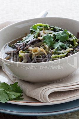 Reisnudelsuppe - Rice Noodle Soup