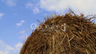 Hay against the sky
