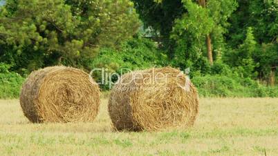 Two haystacks in the field
