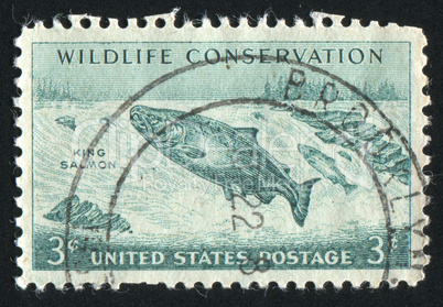 postage stamp