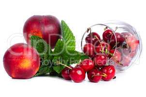 Red fruits set