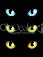 cat eyes in different colours