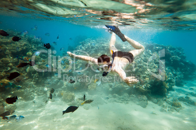 Snorkeler. Red sea