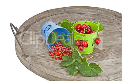 Kirschen und Johannisbeeren