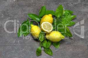 Zitronen mit Blätter