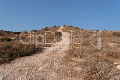 Countryside road leads to the top of yellow autumn hill