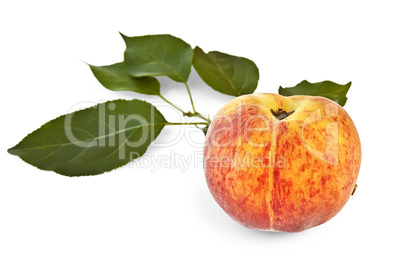 Peach with green leaves