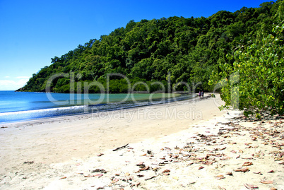 Daintree National Park, Australia