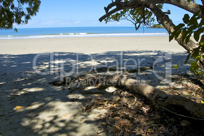 Beach of Daintree, Queensland