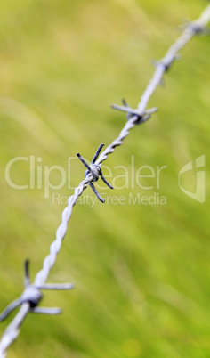 Silber Stacheldraht im Sommer