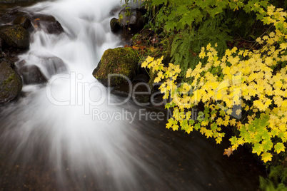 Autumn Waterfall, nature stock photography