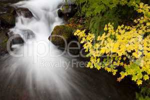 Autumn Waterfall, nature stock photography