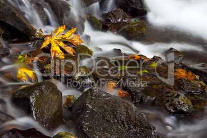 Autumn Waterfall, nature stock photography