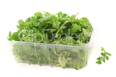 Rucola