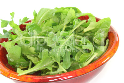 Rucola