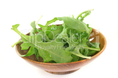 Rucola