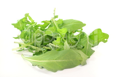 Rucola