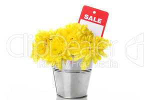 Yellow chrysanthemums in a pail