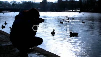 Photographer and ducks