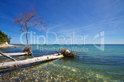 Ostseeküste auf Rügen