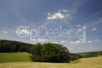 Landschaft im Odenwald