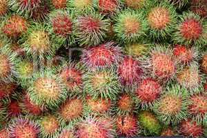 Rambutan - exotische Frucht (Nephelium lappaceum)