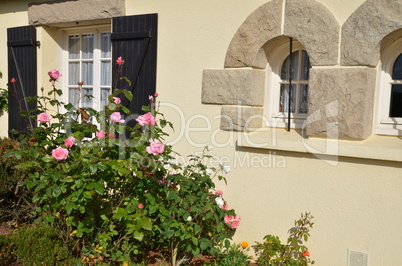 Fenster und Rosen