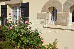 Fenster und Rosen