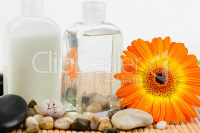 Close up of sunflower with  round smooth pebbles and glass bottl