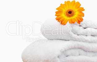 Close up of a sunflower on white towels