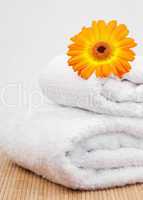 White towels under an orange sunflower